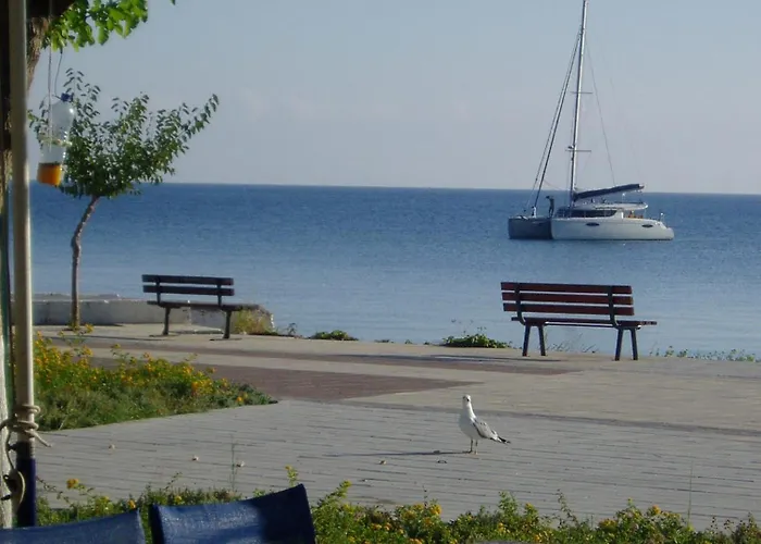 Pensjonat Pantelis Poros (Kefalonia)